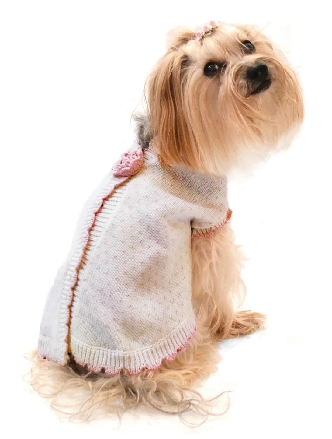 Kiss From A Rose Dog Sweater image 0