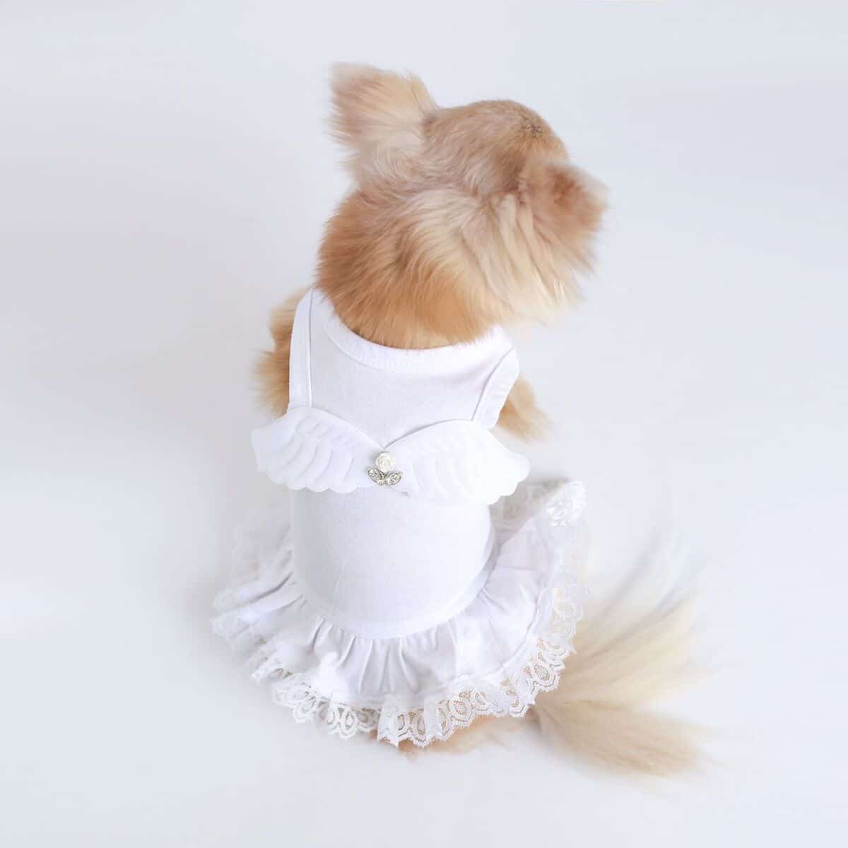 Lil' Angel Dog Dress image 1