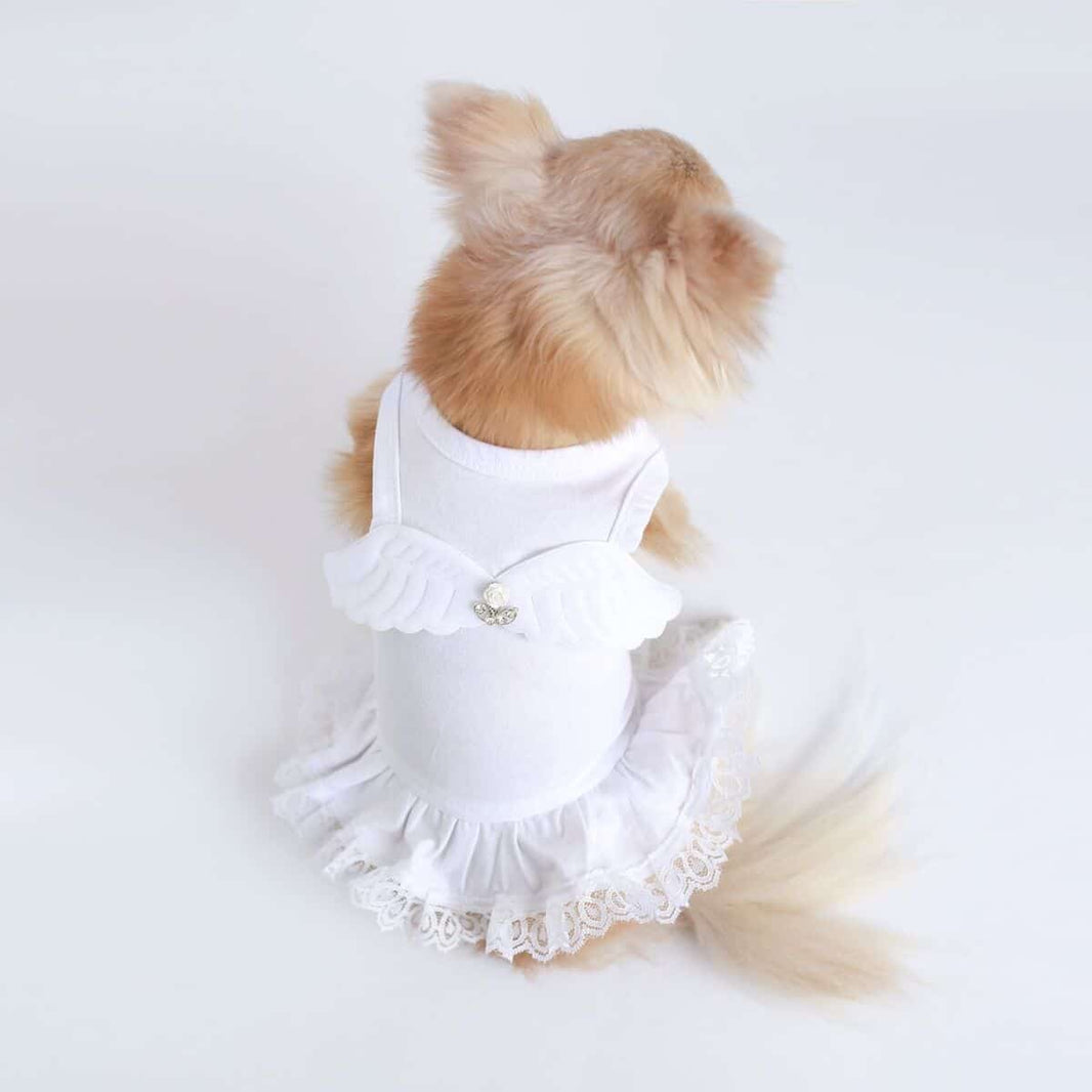 Lil' Angel Dog Dress image 1