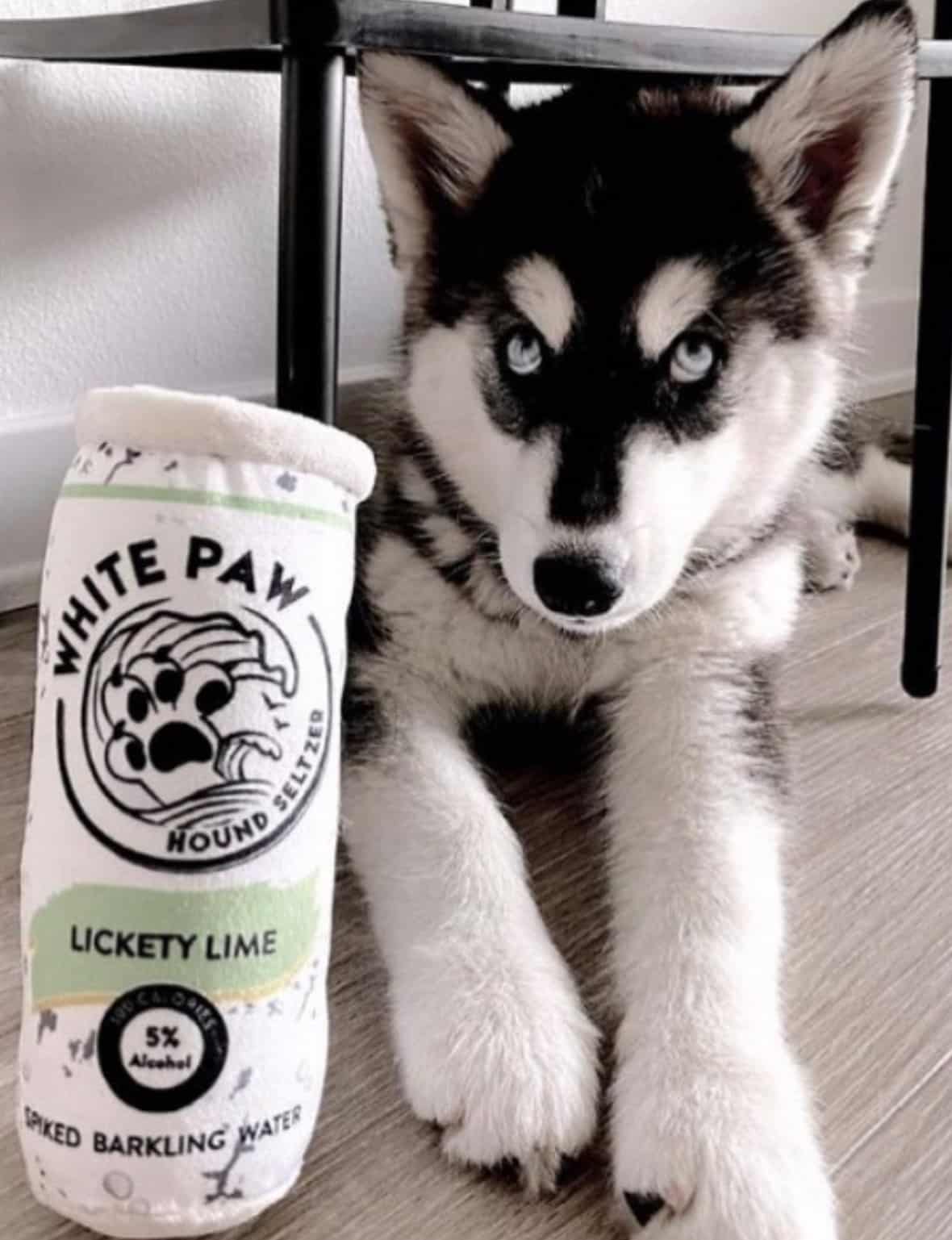 White Paw - Lickety Lime Dog Toy image 0