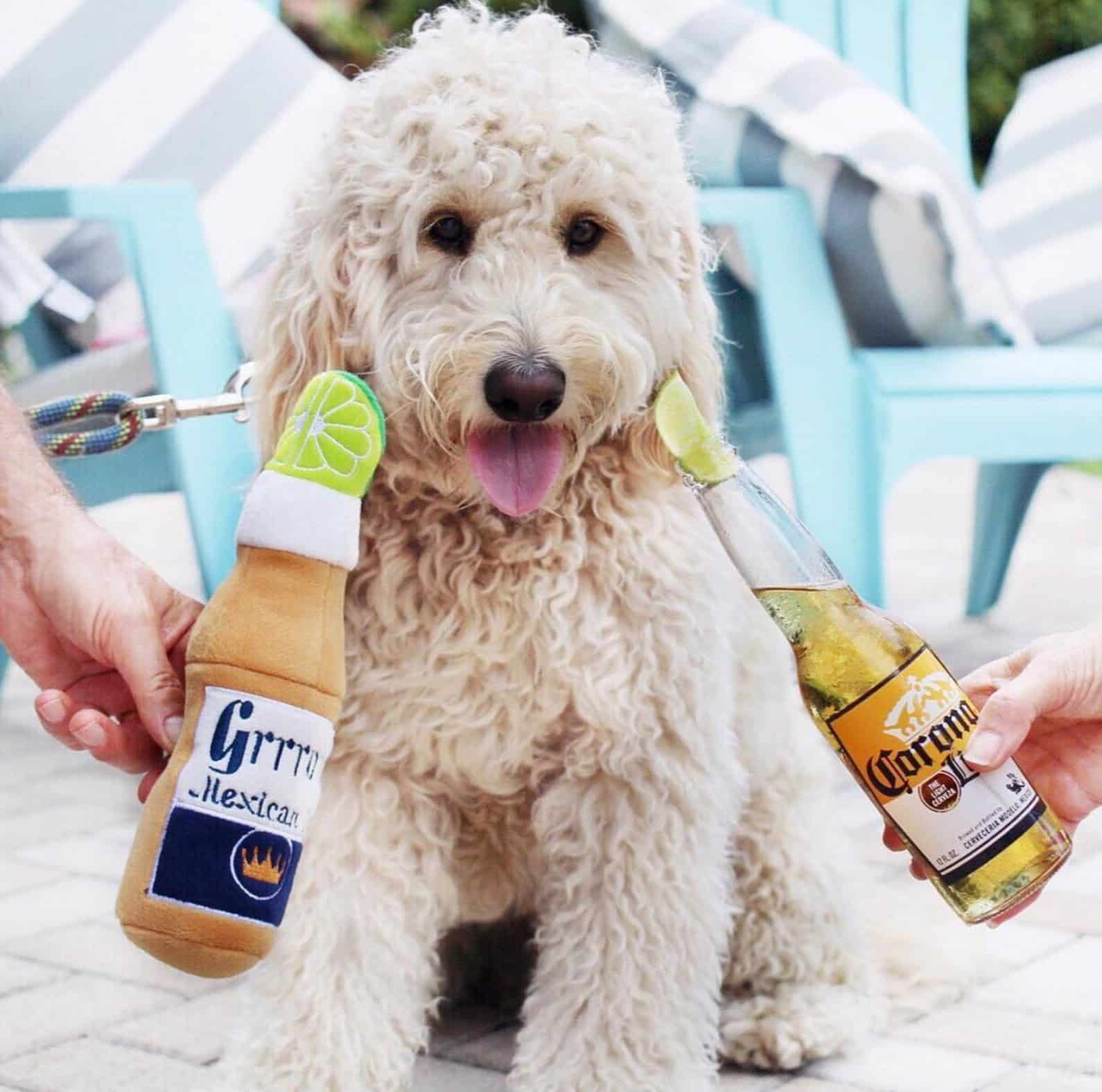 Grrrona Beer Dog Toy image 1