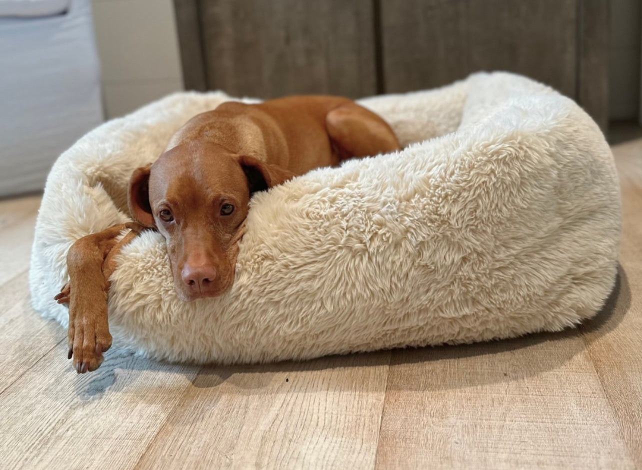 The Franklin Fluffernutter Dog Bed image 0