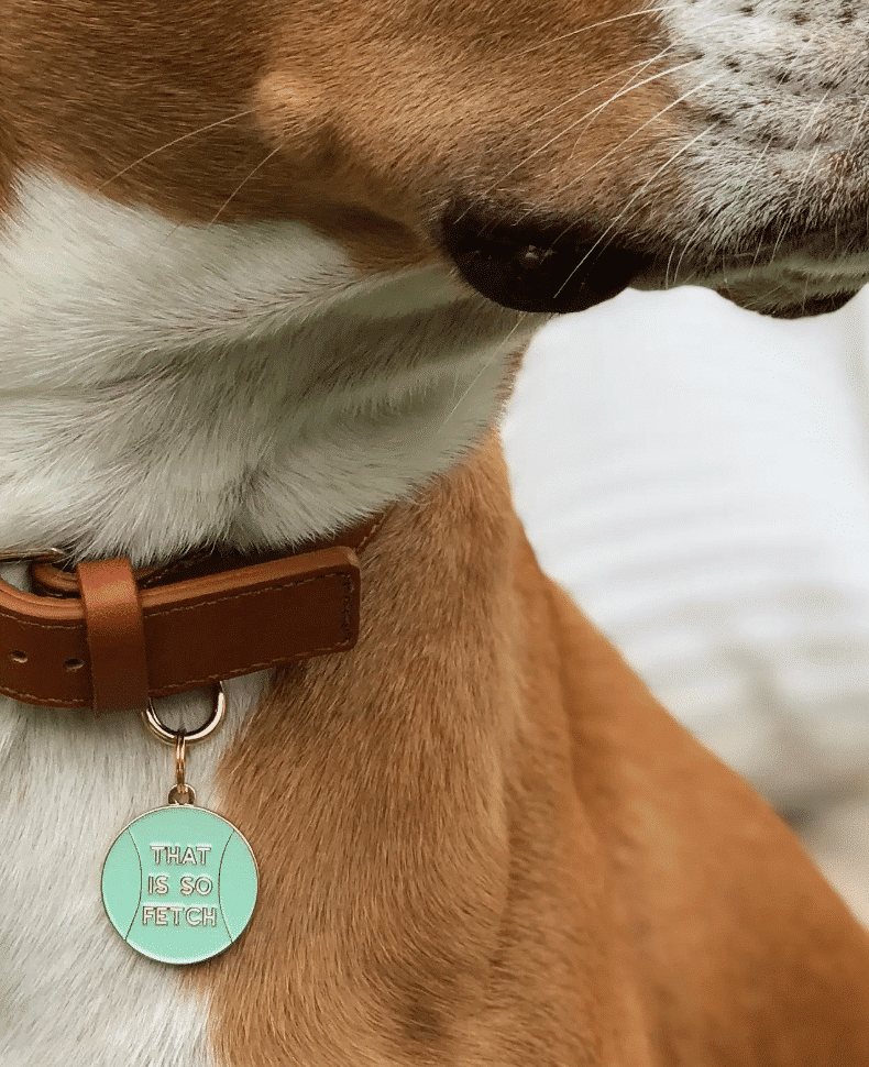 "That Is So Fetch" Dog Charm image 1