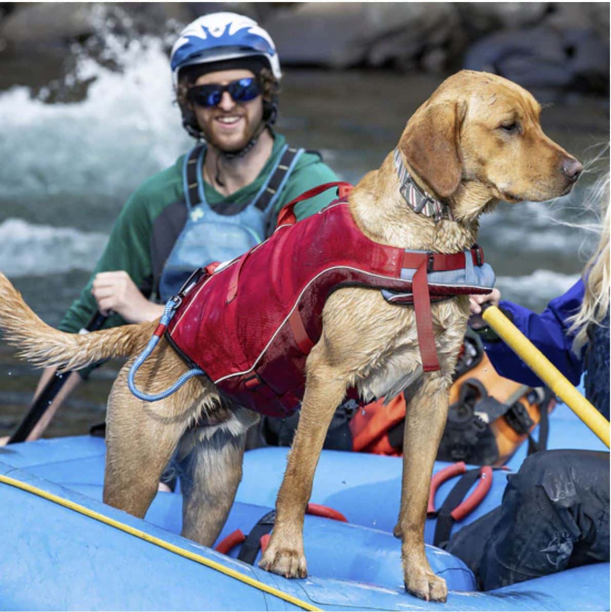 Surf N Turf Red Dog Life Jacket image 3