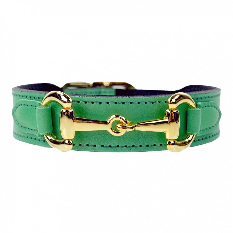 Belmont Dog Collar in Kelly Green & Gold image 0