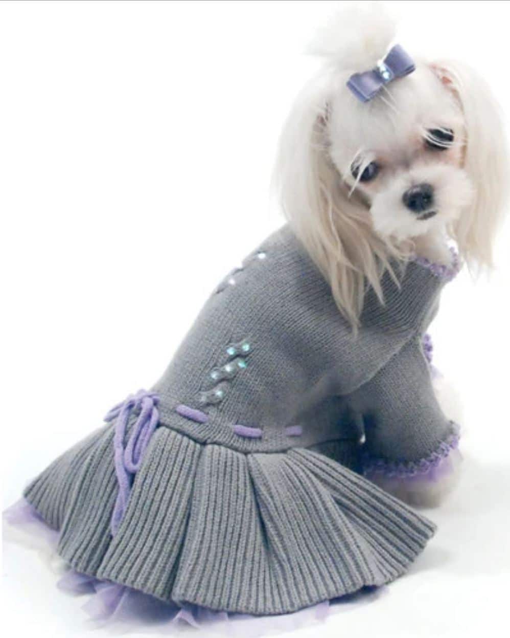 Greys and Lace Dog Sweater Dress image 1