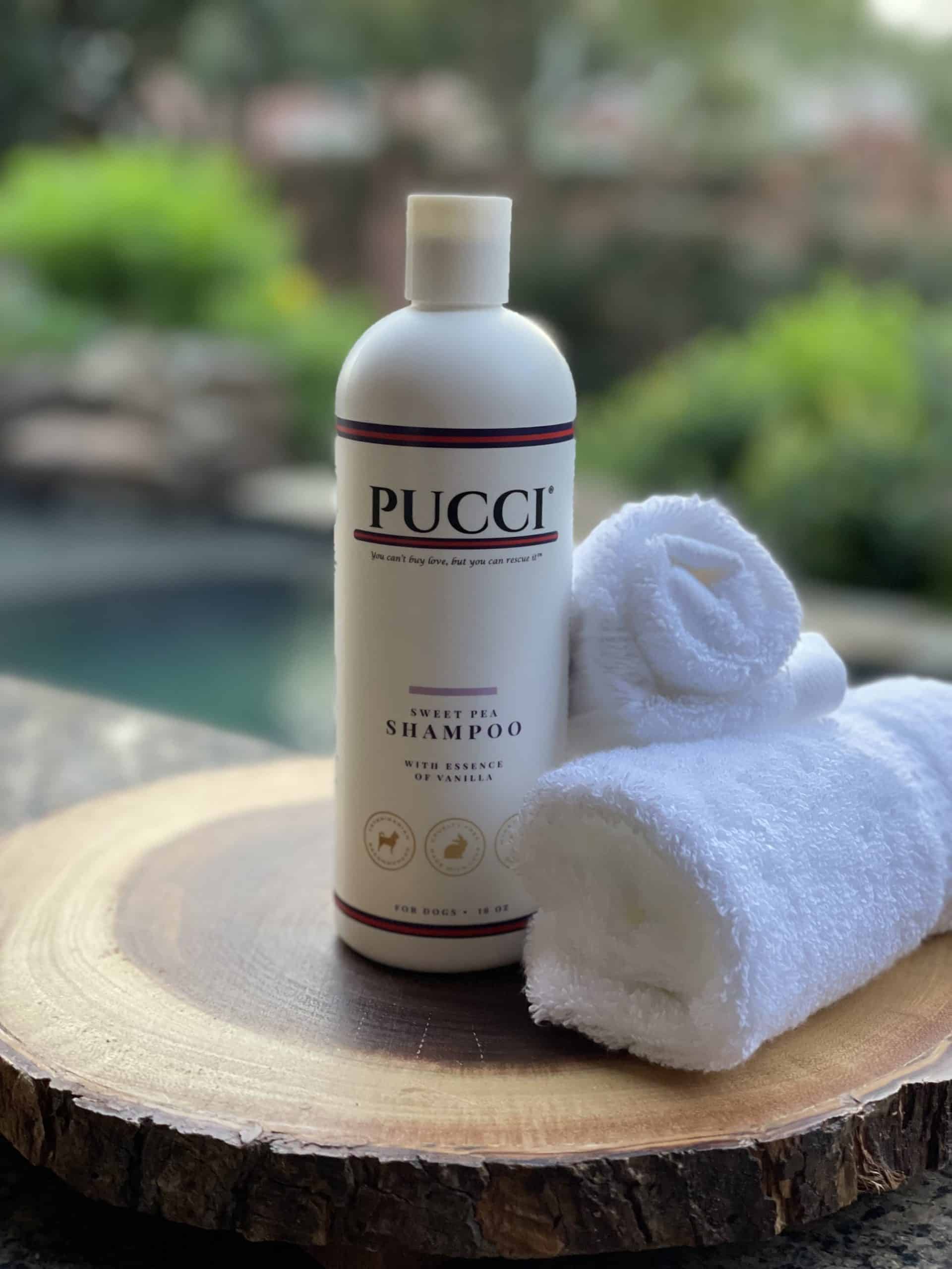 PUCCI Sweet Pea & Vanilla Shampoo for Dogs image 0