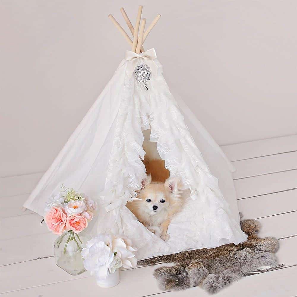 Lullaby Dog Teepee image 0
