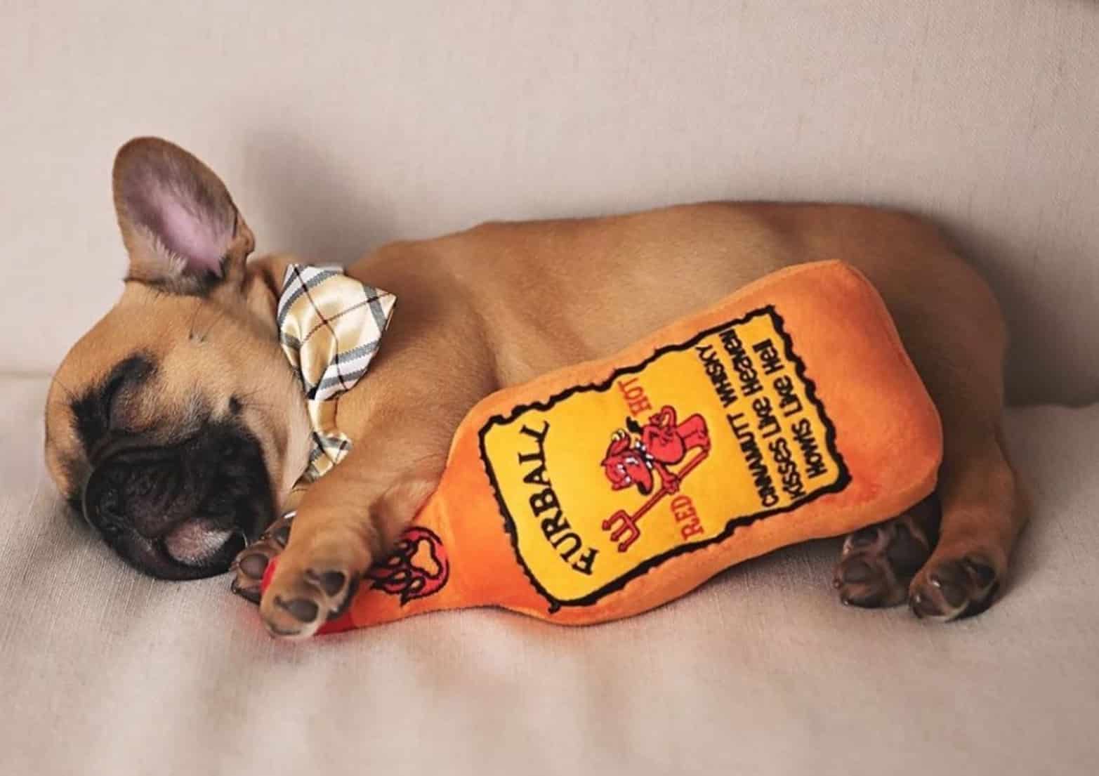 PUCCI Cafe Furball Cinnamutt Whisky Bottle Dog Toy
