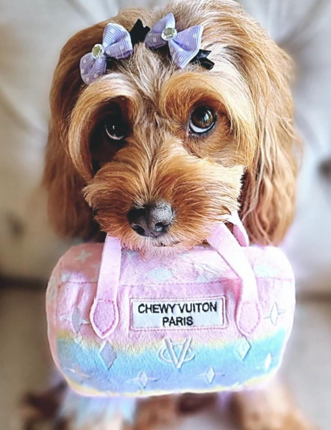 Pink Ombre Chewy Vuiton Handbag Dog Toy image 0