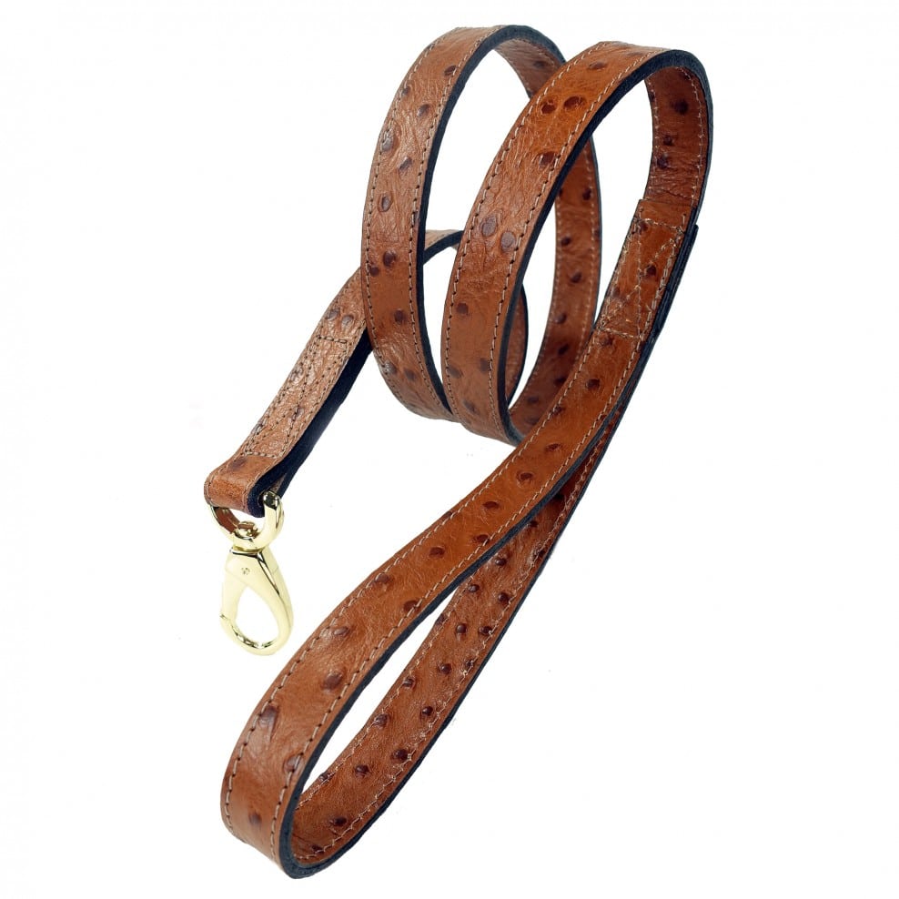 ostrich-lead-in-gold-puccicafe