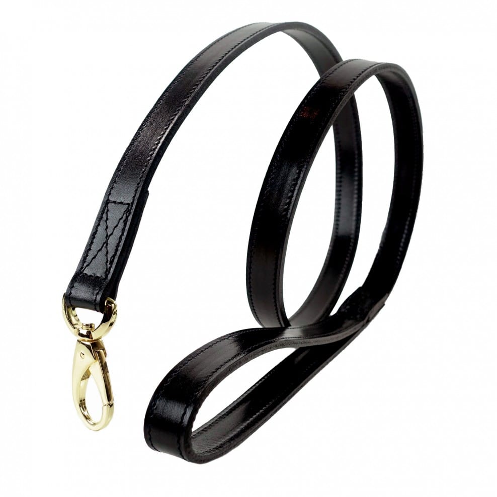 belmont_leash_in_jet_black_gold_puccicafe