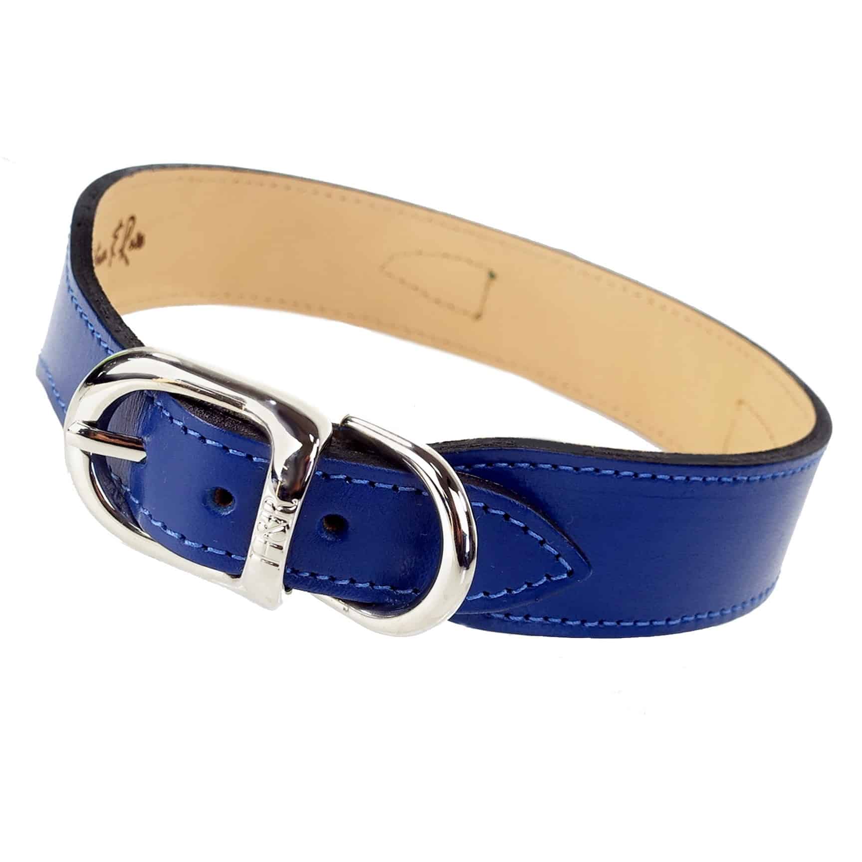 Belmont Dog Collar in Cobalt Blue, Kelly Green & Nickel image 2