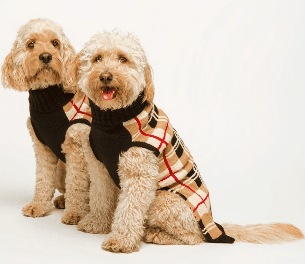 Multi Plaid Dog Sweater - Camel image 0