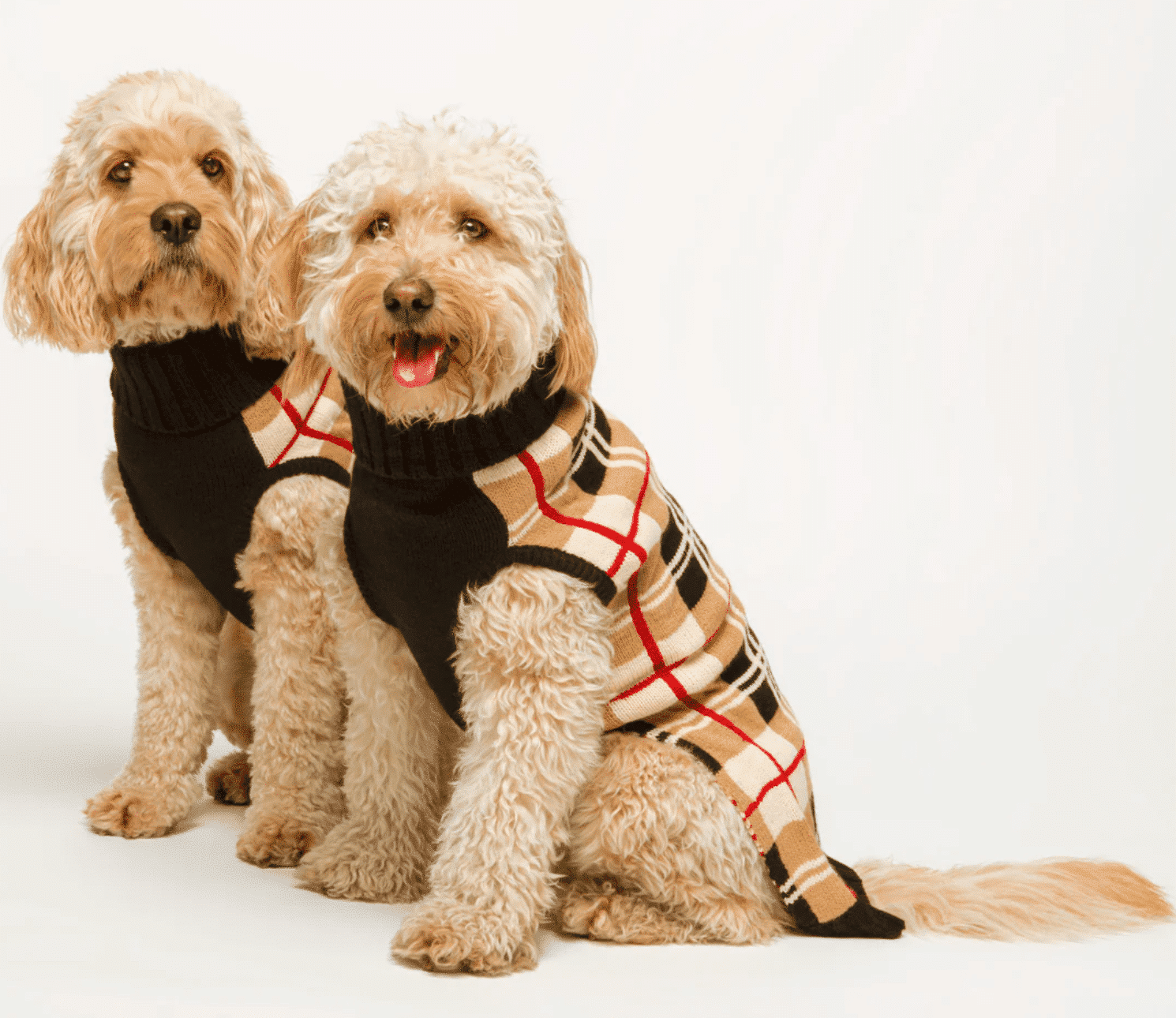 Multi Plaid Dog Sweater - Camel image 0