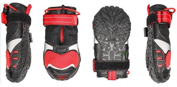 Blaze Cross Dog Shoes image 2