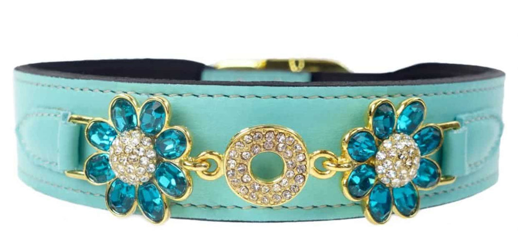 Daisy Dog Collar in Turquoise & Gold image 0