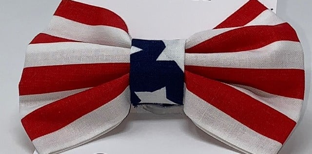Striped Bowtie – puccicafe.com