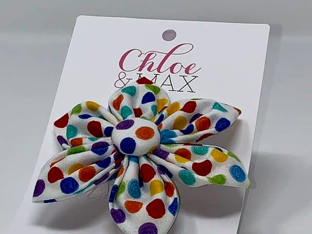 Confetti Flower – puccicafe.com