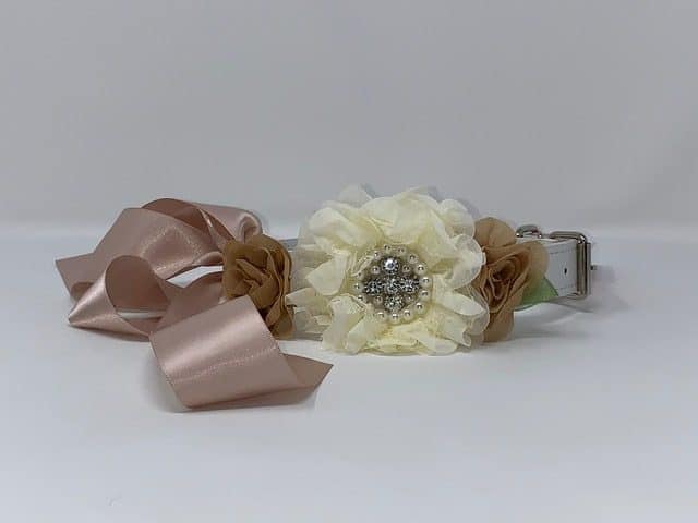 Wedding white – tan Rhinestone collar – puccicafe.com