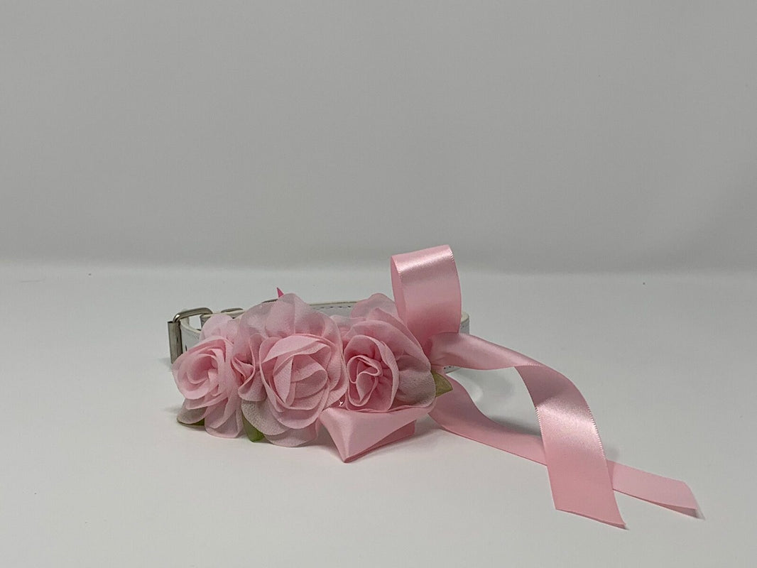 Wedding White – Pink Collar – puccicafe.com