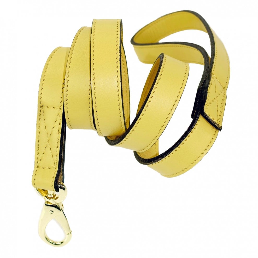 Athena Dog Leash Canary Yellow & Gold image 0