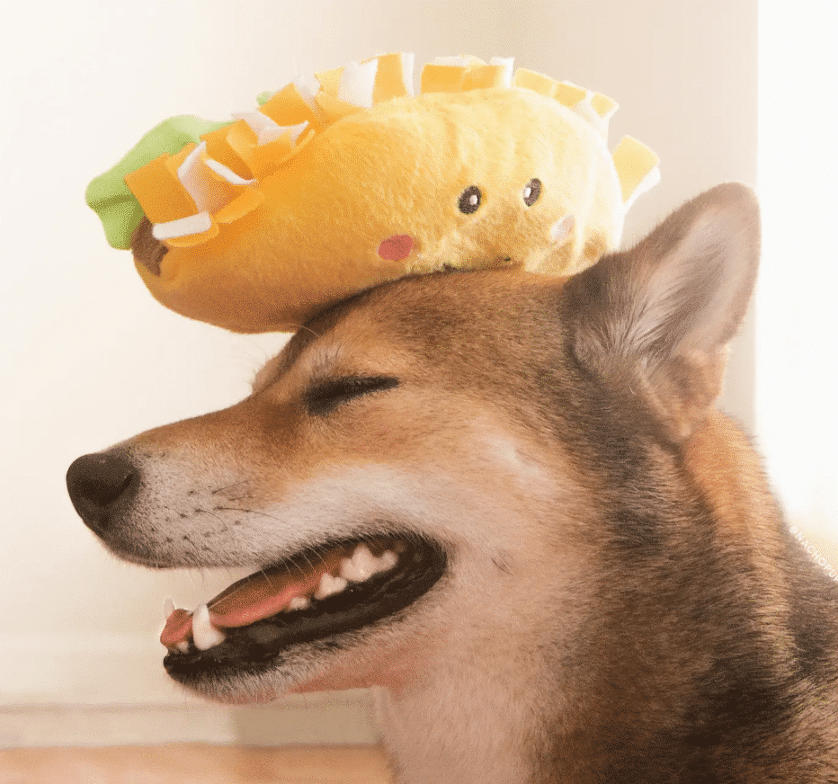 Taco Plush Dog Toy image 0