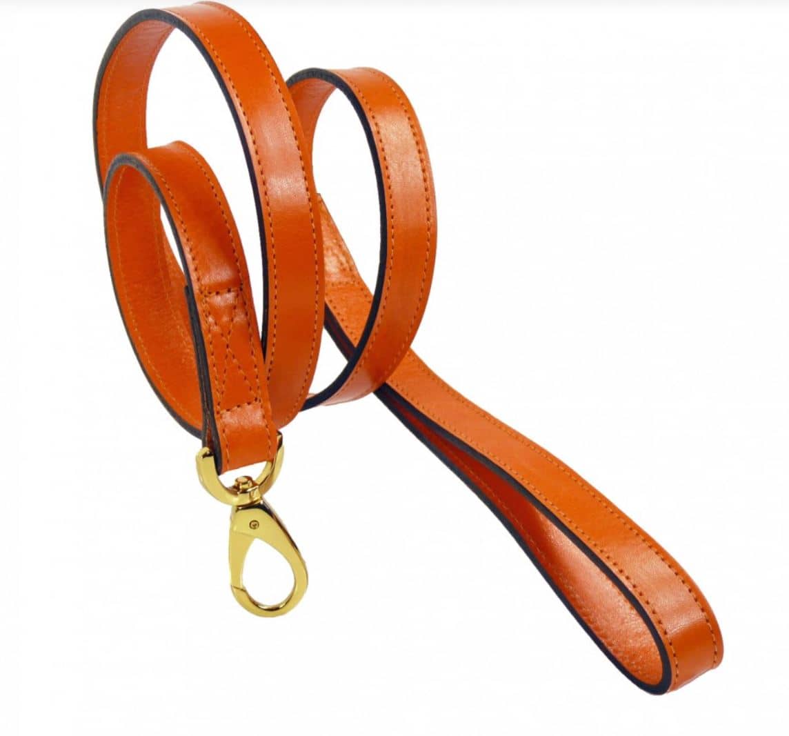 Hamilton Dog Leash in Tangerine and Gold image 0