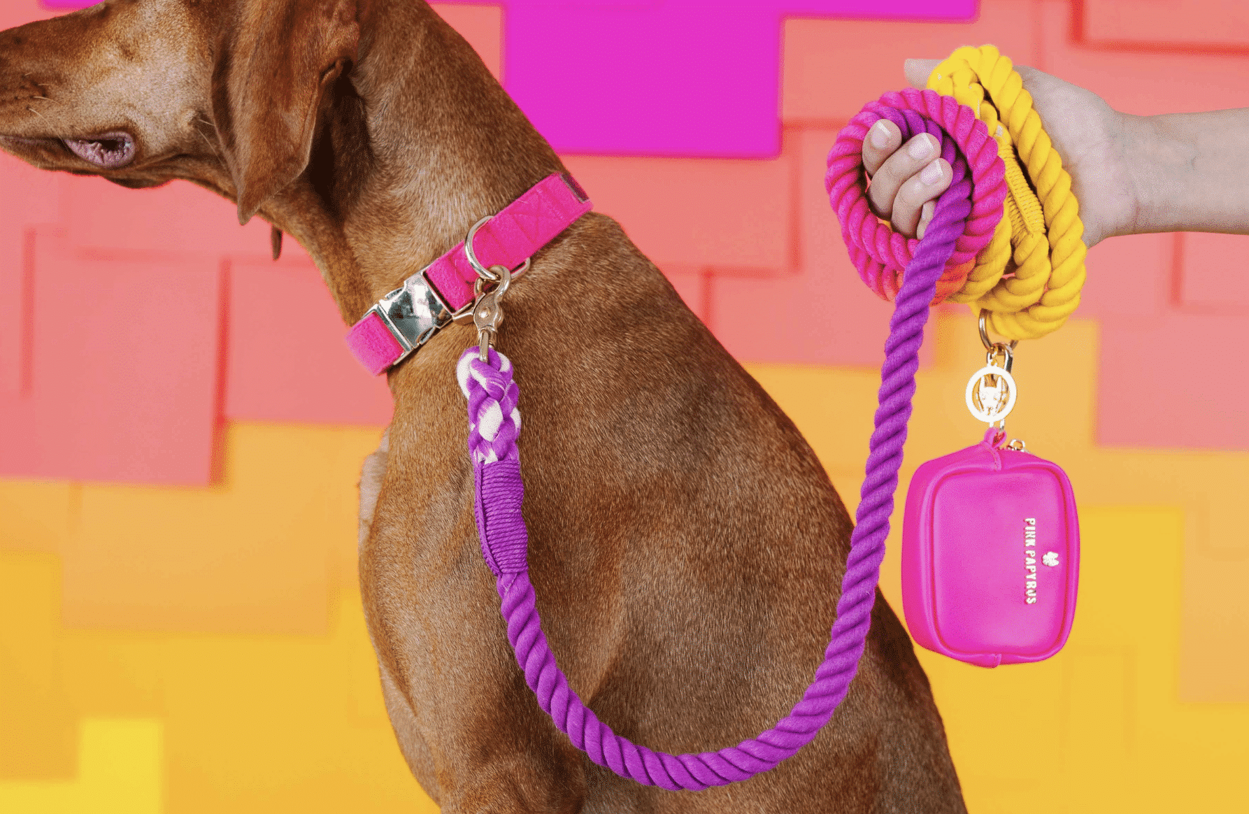Roxy Rope Dog Leash image 3