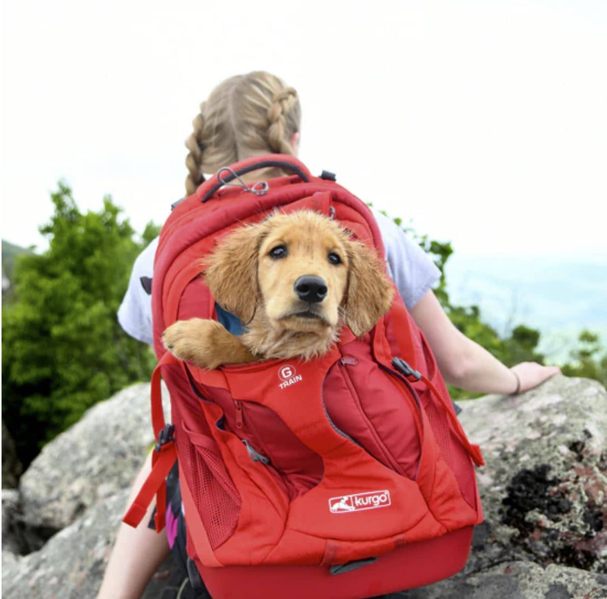 G-Train Dog Carrier Backpack image 0