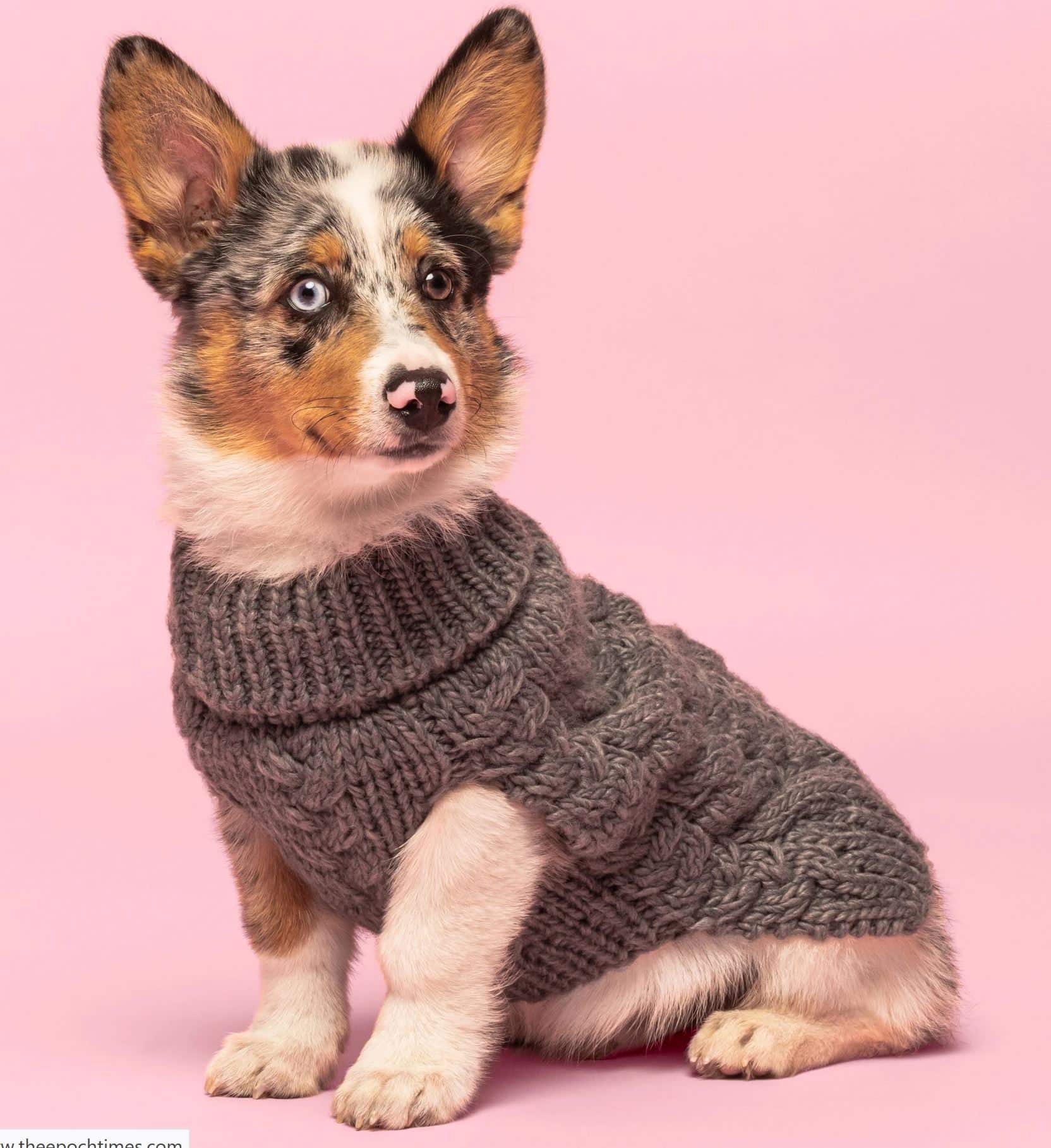 Charcoal Grey Wool Turtleneck Dog Sweater image 2