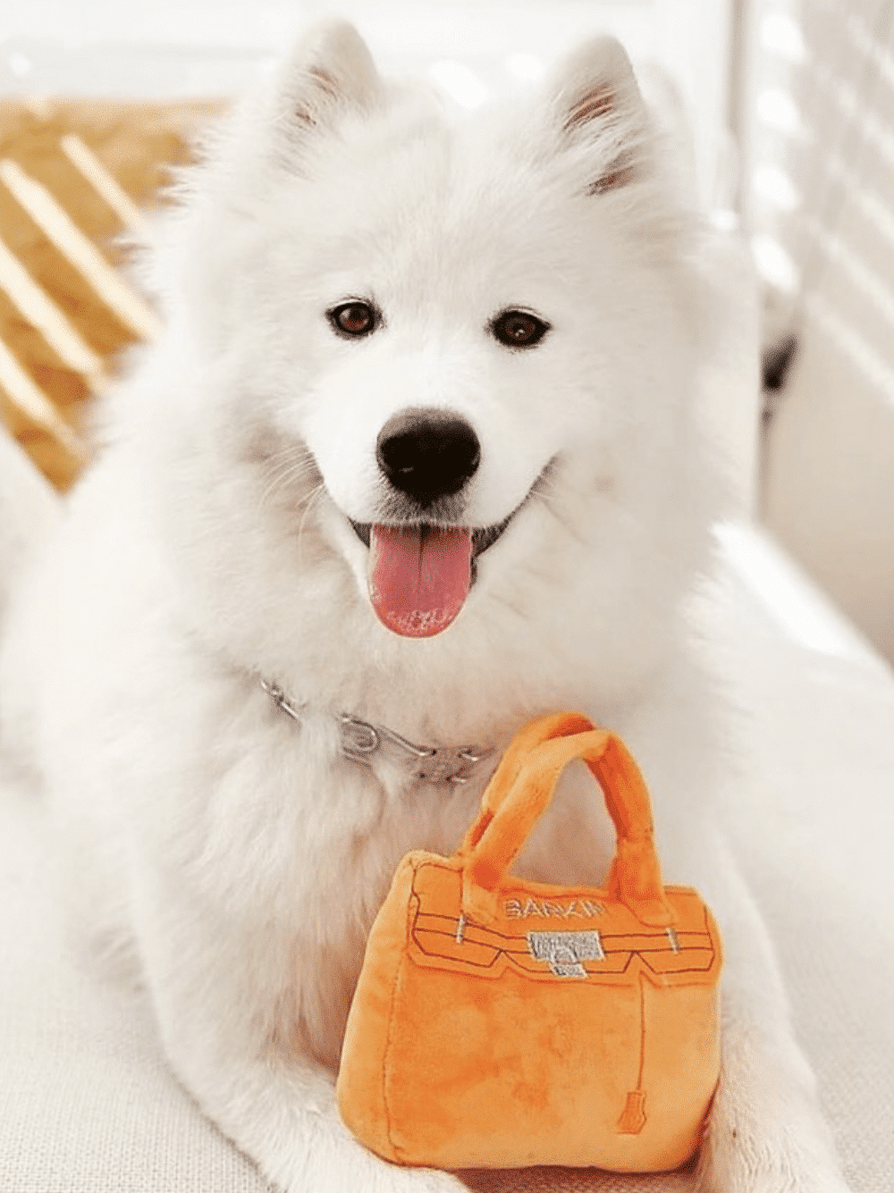 Barkin Bag Dog Toy image 0