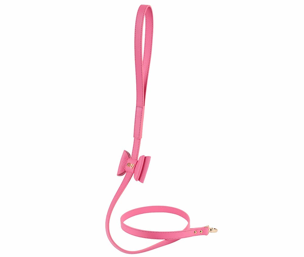 Bisou Dog Leash - Pink image