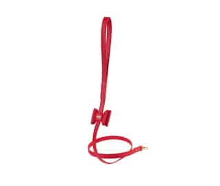 Bisou Dog Leash - Red image