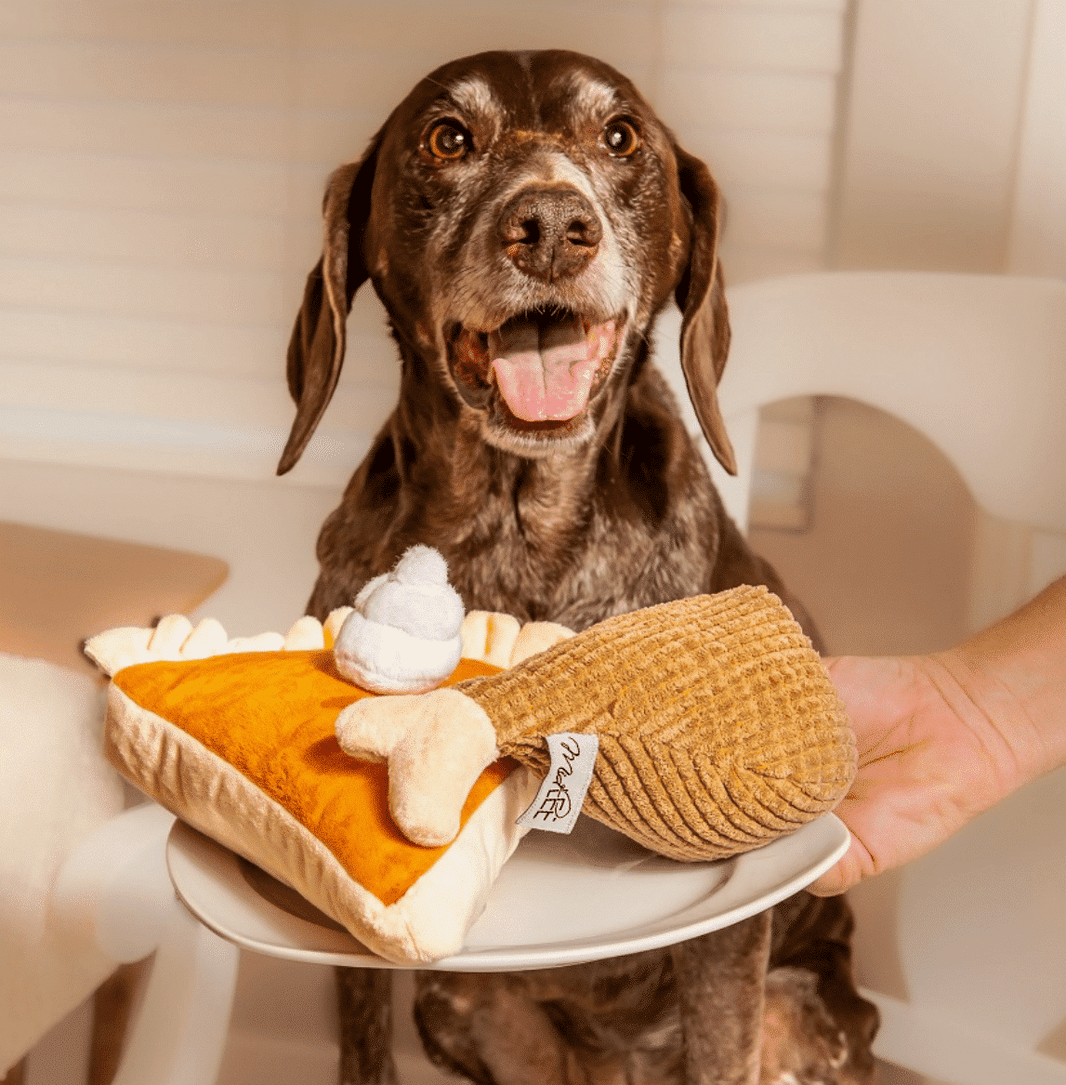 Thanksgiving Pumpkin Pie  or Turkey Leg Plush Dog Toy image 0