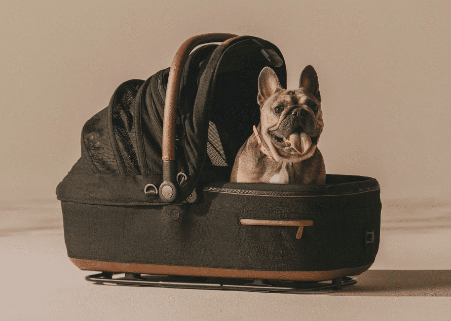 Tavo Pets Maeve Car Seat, Medium (Rigid Handle) Pet Carrier image 0