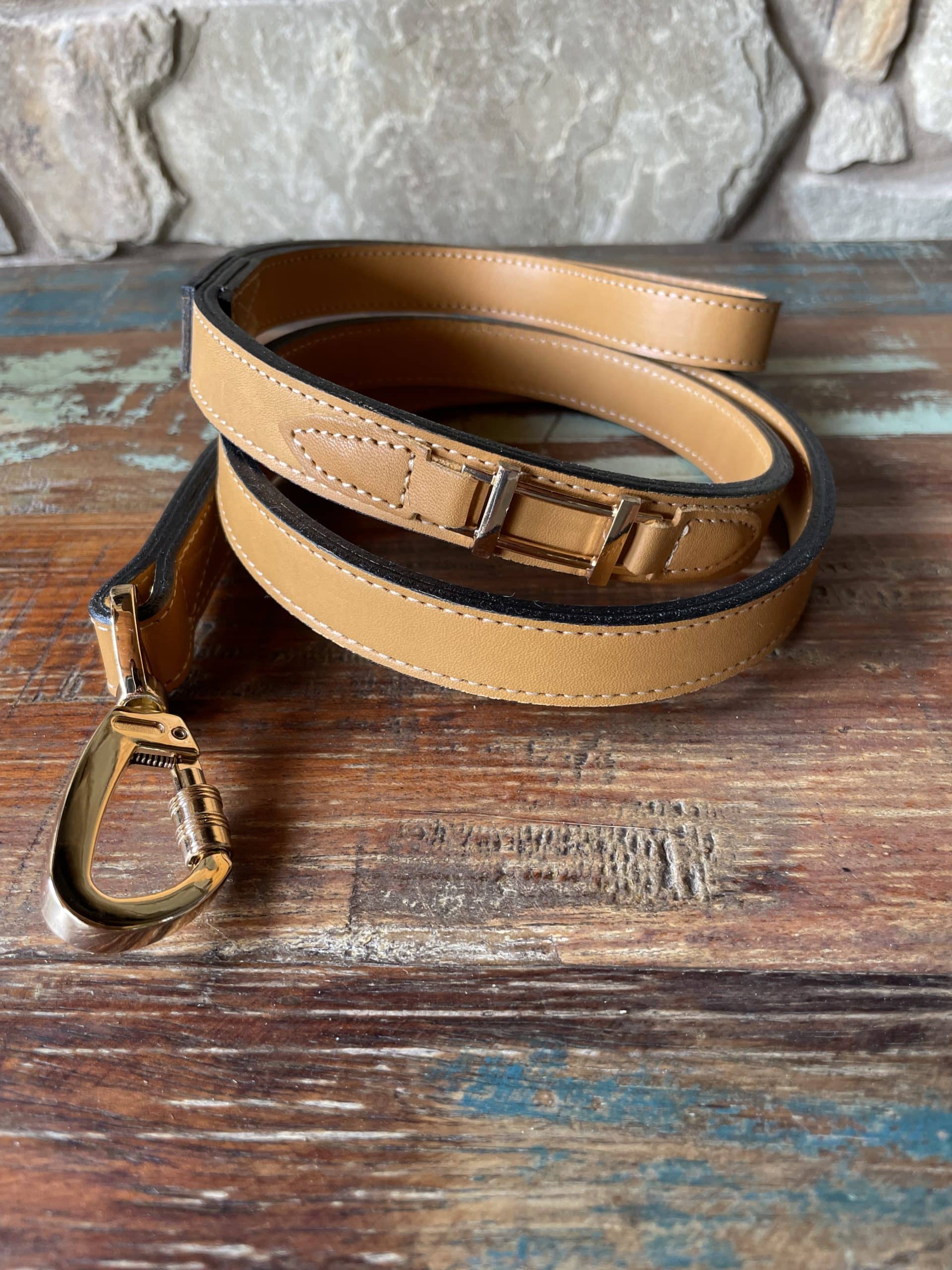 Hamilton with Icon Dog Leash In Natural & Gold image 0