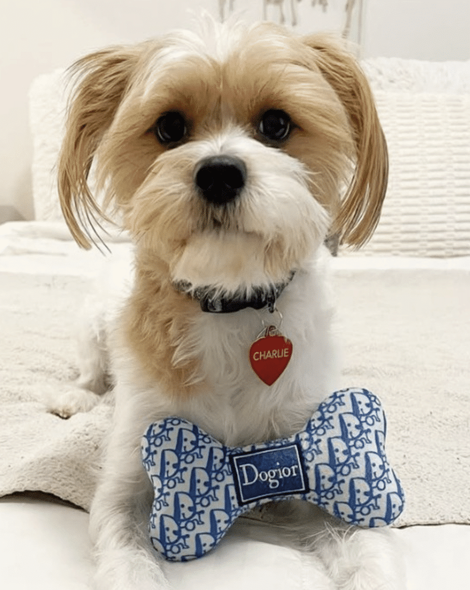 Dogior Bone Dog Toy image 0