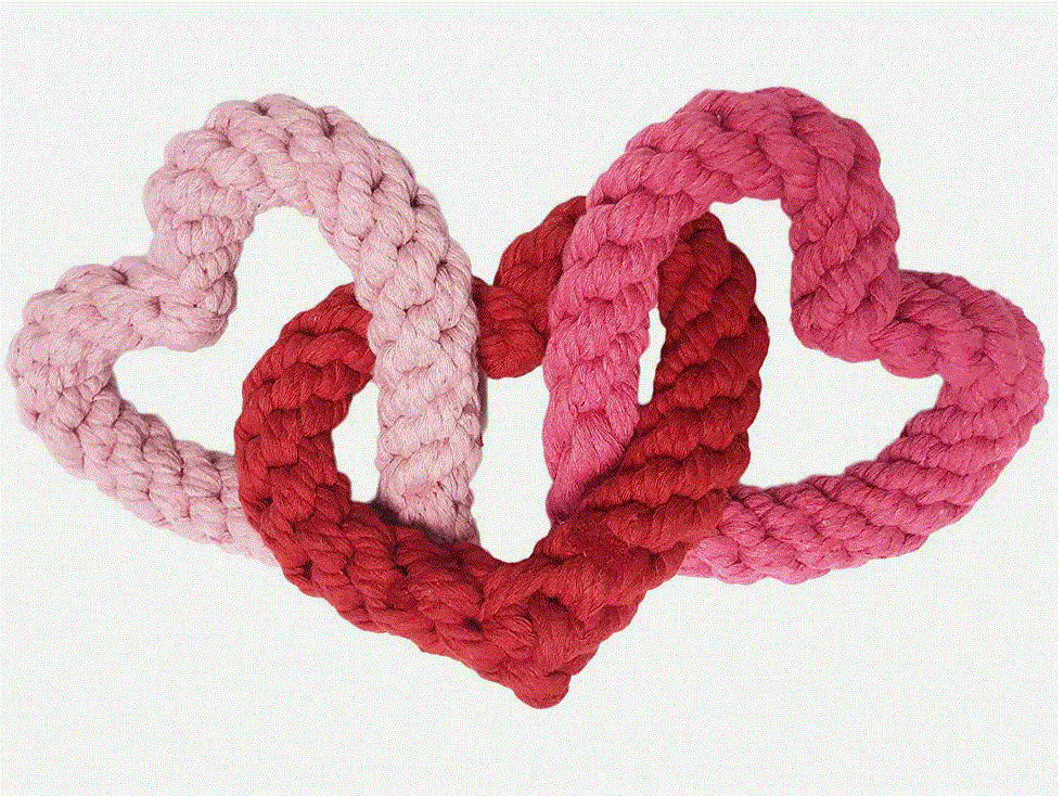 Interlocking Heart Rope Dog Toy image 0