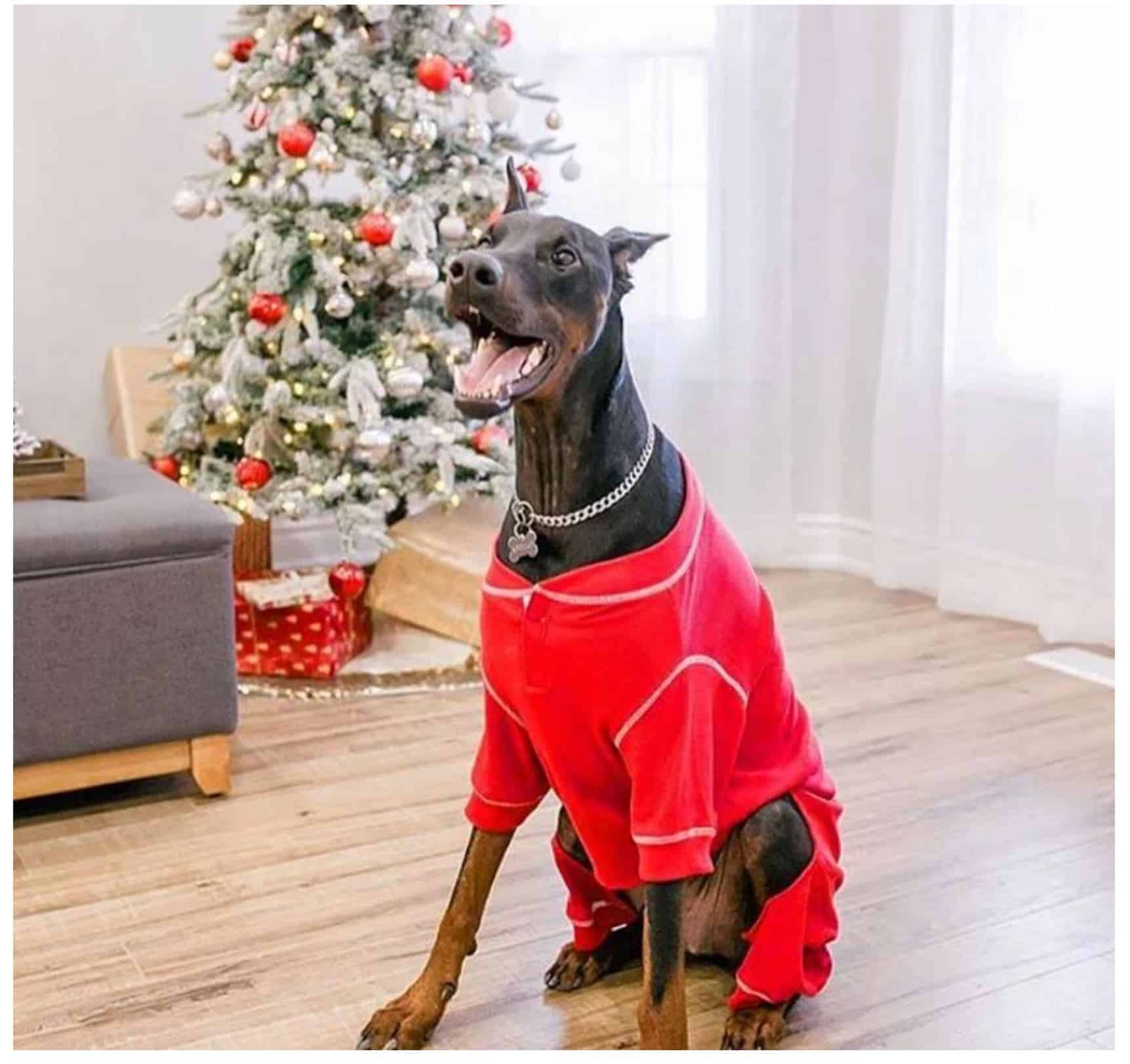 Red Thermal Dog Pajamas image 0