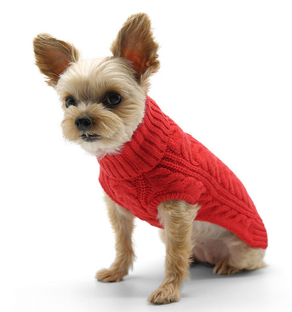 Cable Turtleneck Dog Sweater - Red image 0