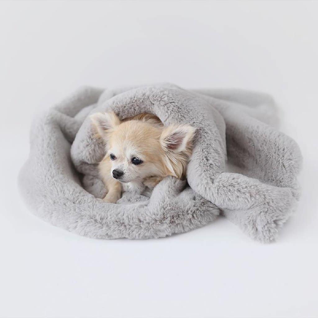 Divine Dog Blanket – Dove Grey image 0