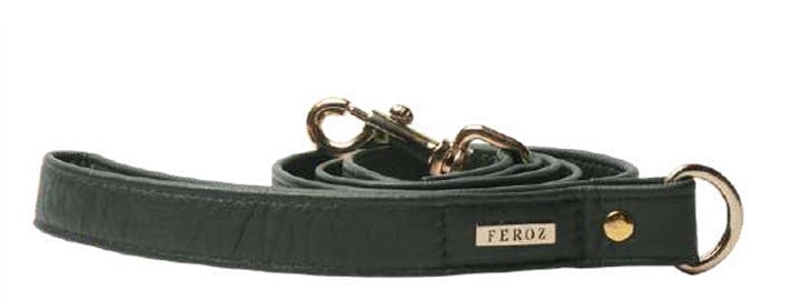 Feroz Leather Dog Leash - Coral Collection - Pine Green, X-Large image