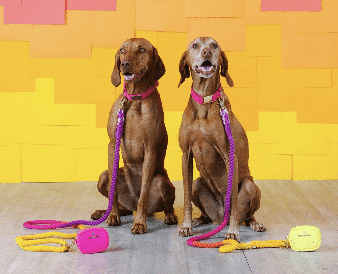 Roxy Rope Dog Leash image 1