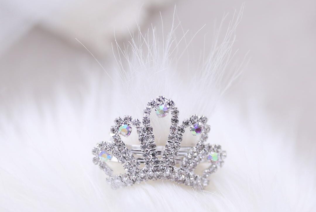 Tiara Dog Barrette image 0