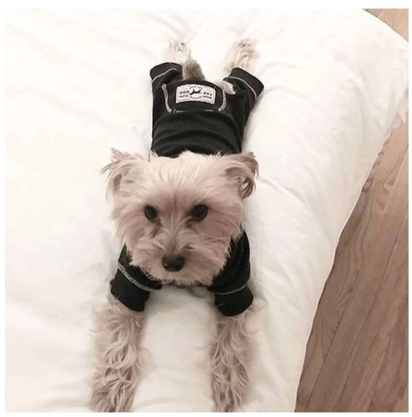 Charcoal Grey Thermal Dog Pajamas image 0