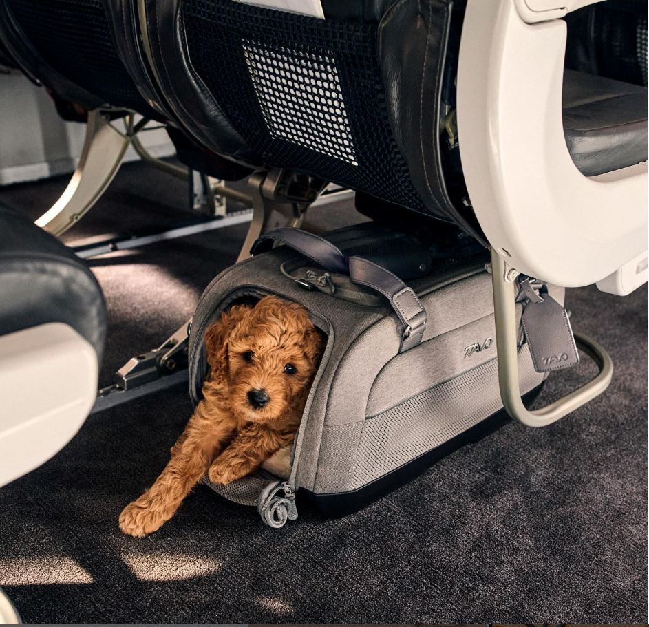Tavo Pets Dupree II Airline Carry On Pet Car Seat image 0