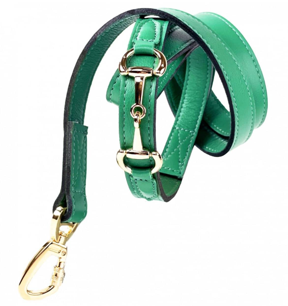 Belmont with Icon Dog Leash in Kelly Green & Gold image 0
