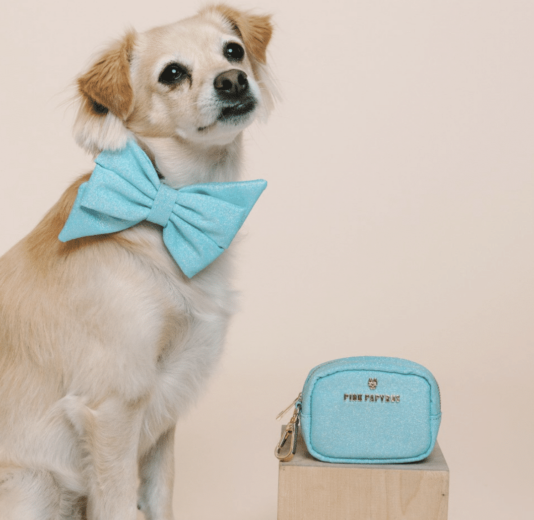 Dawson Bag Dispenser/ Treat Pouch - Blue Glitter image 0