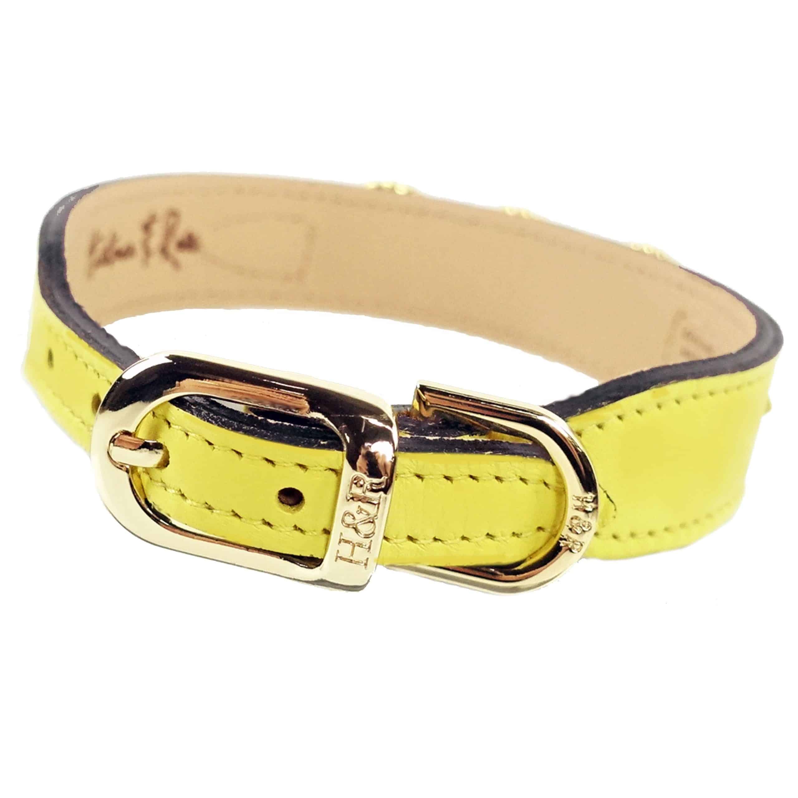 Athena in Canary Yellow & Gold Dog Collar image 2